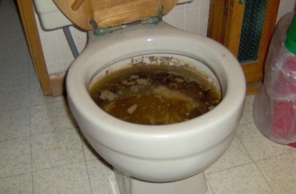 Унитаз засорился