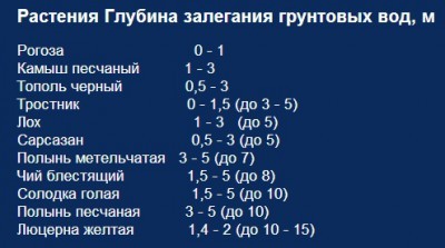Растения помогут найти воду